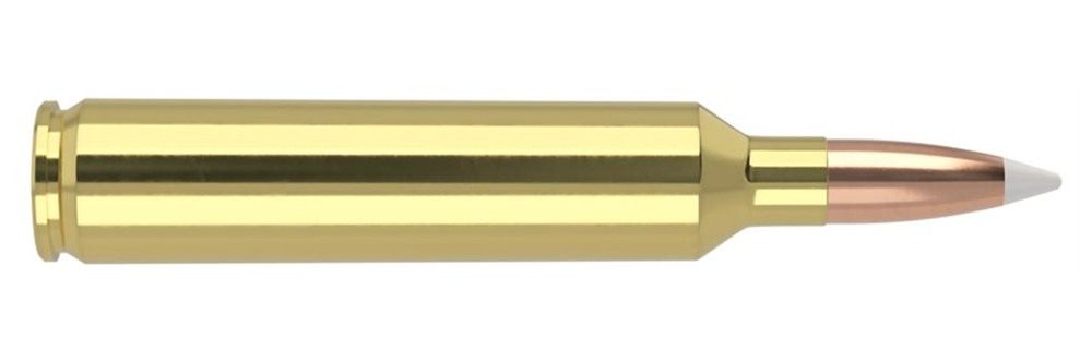 NOSLER Accubond Trophy Grade Rifle Ammunition 26 140 PT 3300 fps 20/ct view 3