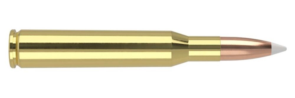 Nosler Bullets Accubond Trophy Grade Rifle Ammunition .270 Win 130 PT 3075 view 3