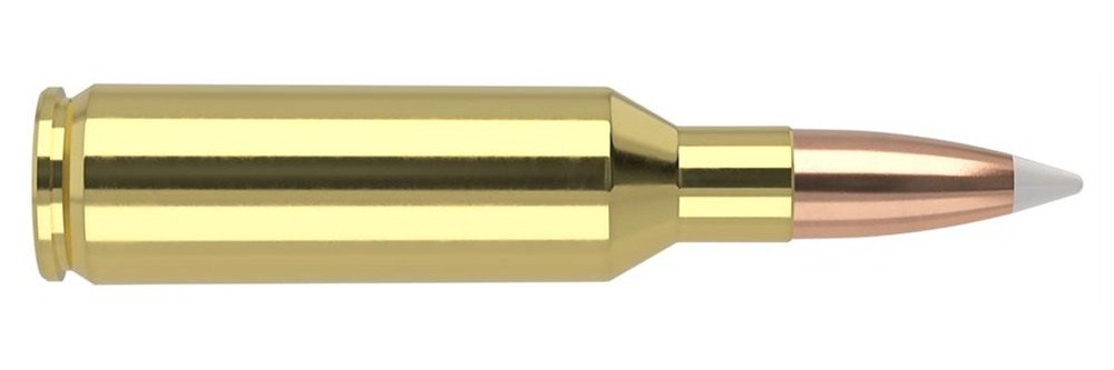 NOSLER 60045 Trophy Grade 7mmRemSA UltraMag 160gr Spitzer Partition 20 Per view 3
