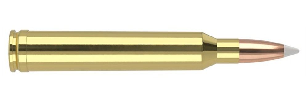NOSLER Accubond Trophy Grade Rifle Ammunition 7mm STW 160 PT 3075 fps 20/ct view 3
