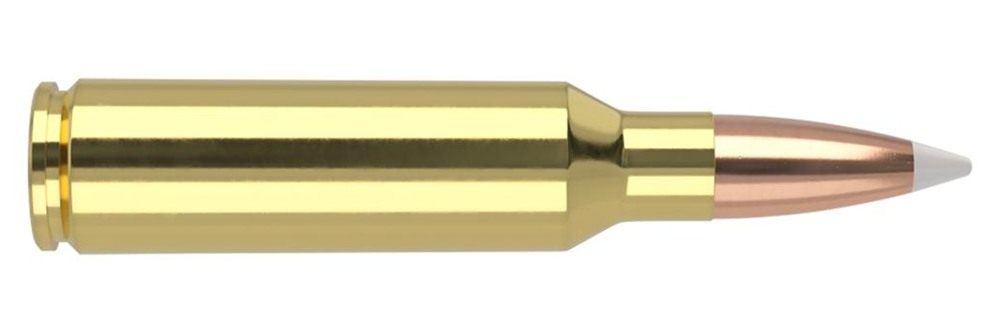 Nosler Bullets Accubond Trophy Grade Rifle Ammunition .300 WSM 180 PT 2950 view 3