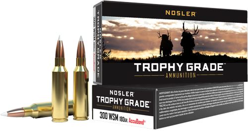Nosler Bullets Accubond Trophy Grade Rifle Ammunition .300 WSM 180 PT 2950 view 4