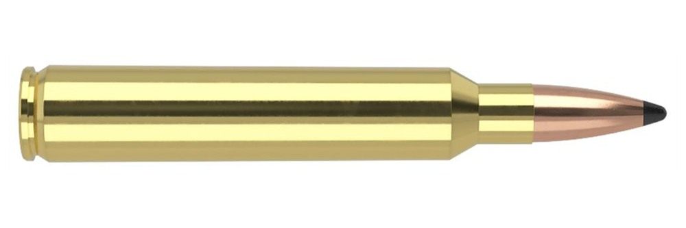 Nosler Bullets 60064 Trophy Grade 300RUM 165gr Spitzer Partition 20 Per Box view 4