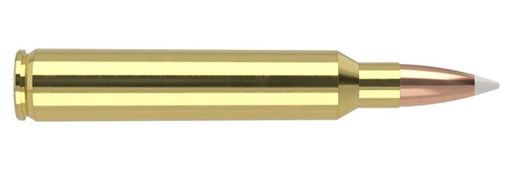 NOSLER Accubond Trophy Grade Rifle Ammunition .300 RUM 180 PT 3250 fps 20/c view 3