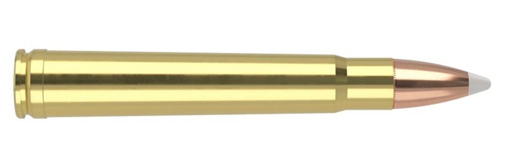NOSLER Accubond Trophy Grade Rifle Ammunition .375 H H Mag 300 PT 2400 fps view 3
