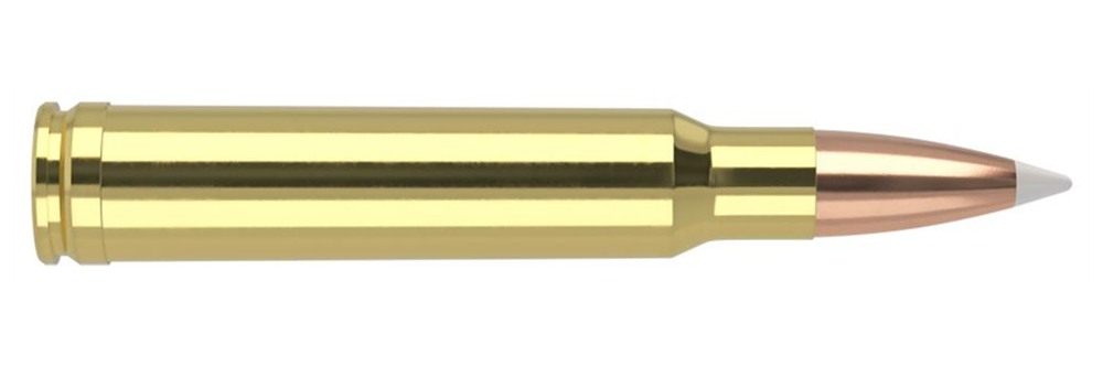 NOSLER Accubond Trophy Grade Rifle Ammunition .338 Win Mag 225 PT 2750 fps view 3