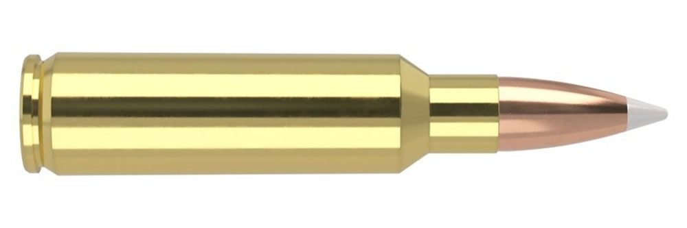 NOSLER Accubond Trophy Grade Rifle Ammunition .325 WSM 200 PT 2900 fps 20/c view 3