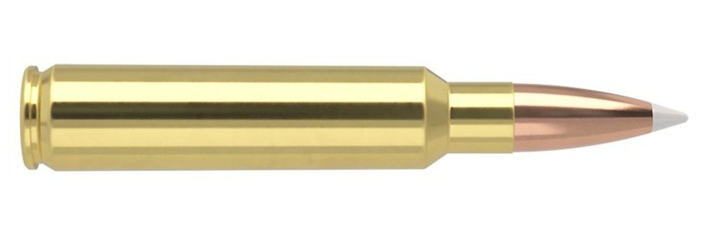 Nosler Accubond Long Range Trophy Grade Rifle Ammunition 33 225 PT 3025 fps view 2