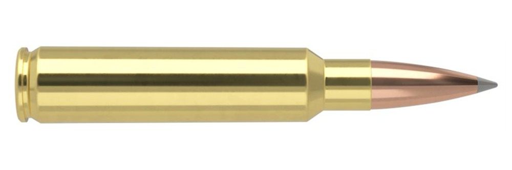 Nosler Bullets 60099 Trophy Grade Long-Range 33 265gr Spitzer AccuBond 20 P view 3
