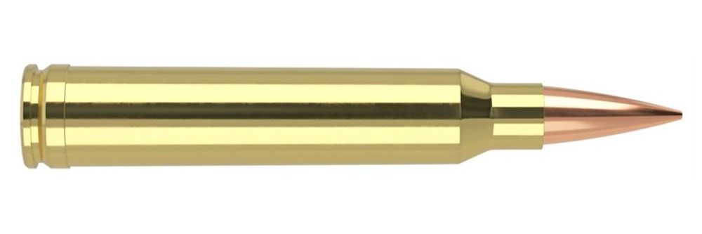 Nosler Bullets 60106 Trophy Grade Long-Range 300WSM 190gr Spitzer AccuBond view 3