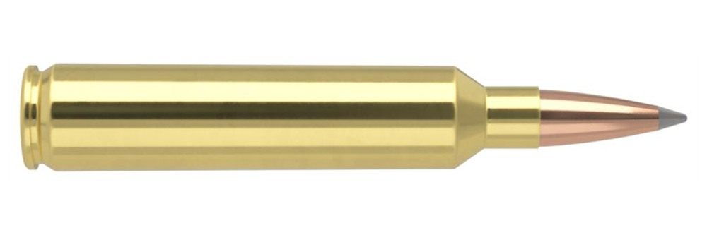 NOSLER 60155 Trophy Grade Long-Range 28 175gr Spitzer AccuBond 20 Per Box/1 view 3