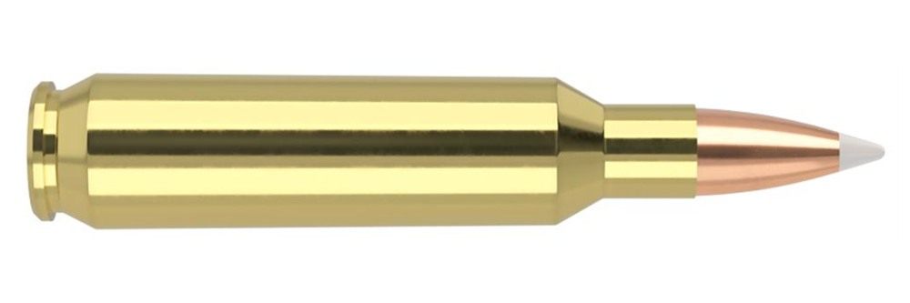 NOSLER Accubond Trophy Grade Rifle Ammunition .22 70 PT 2950 fps 20/ct view 3