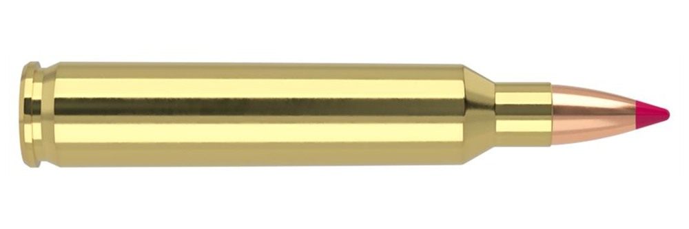 Nosler Bullets Ballistic Tip Varmint Rifle Ammunition .204 Ruger 40 gr PT 3 view 2