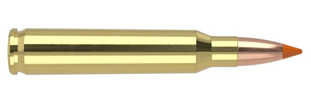 Nosler Bullets Ballistic Tip Varmint Rifle Ammunition .223 Rem 55 gr PT 310 view 2