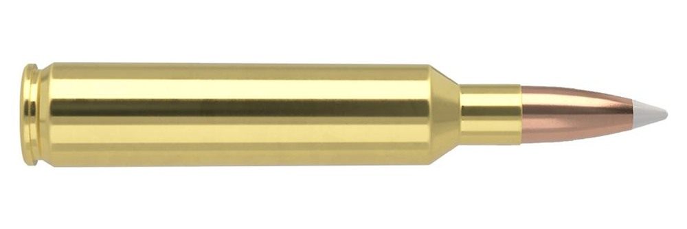 Nosler Bullets Accubond Trophy Grade Rifle Ammunition 27 150 PT 3250 fps 20 view 2