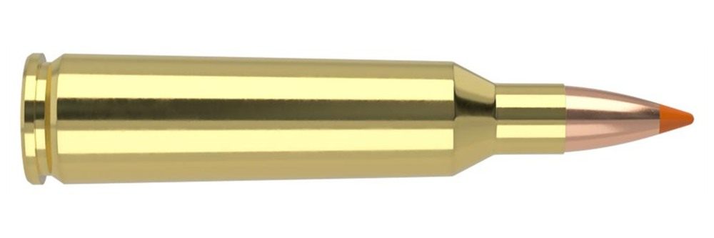 Nosler Ballistic Tip Varmint Rifle Ammunition .22-250 Rem 55gr PT 3550 fps view 2