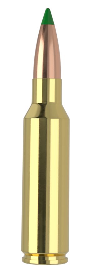 Nosler Ballistic Tip Hunting Rifle Ammunition .300 WSM 165gr PT 3125 fps 20 view 3