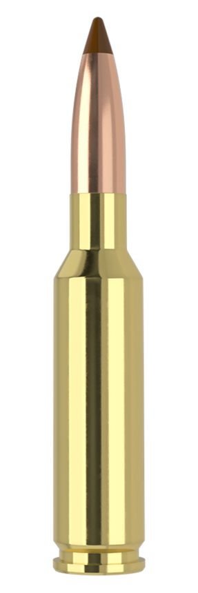 NOSLER 61053 6.5x55 Swedish 140gr Ballistic Tip 20 Per Box/10 Case