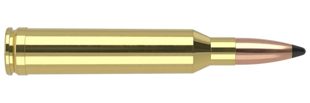Nosler Bullets Ammo Trophy Grade Rifle Ammunition 7mm Rem Mag 160g PSP 2950 view 2