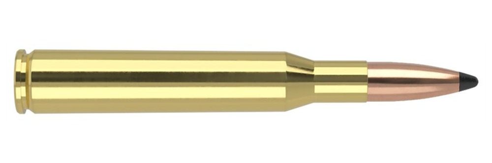 Nosler Bullets Trophy Grade Rifle Ammunition .270 Win 150 PSP 2800 fps 20/c view 2