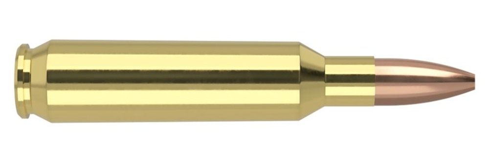 NOSLER 65180 Varmageddon 22 62gr Flat Base Hollow Point 50 Per Box/5 Case view 2