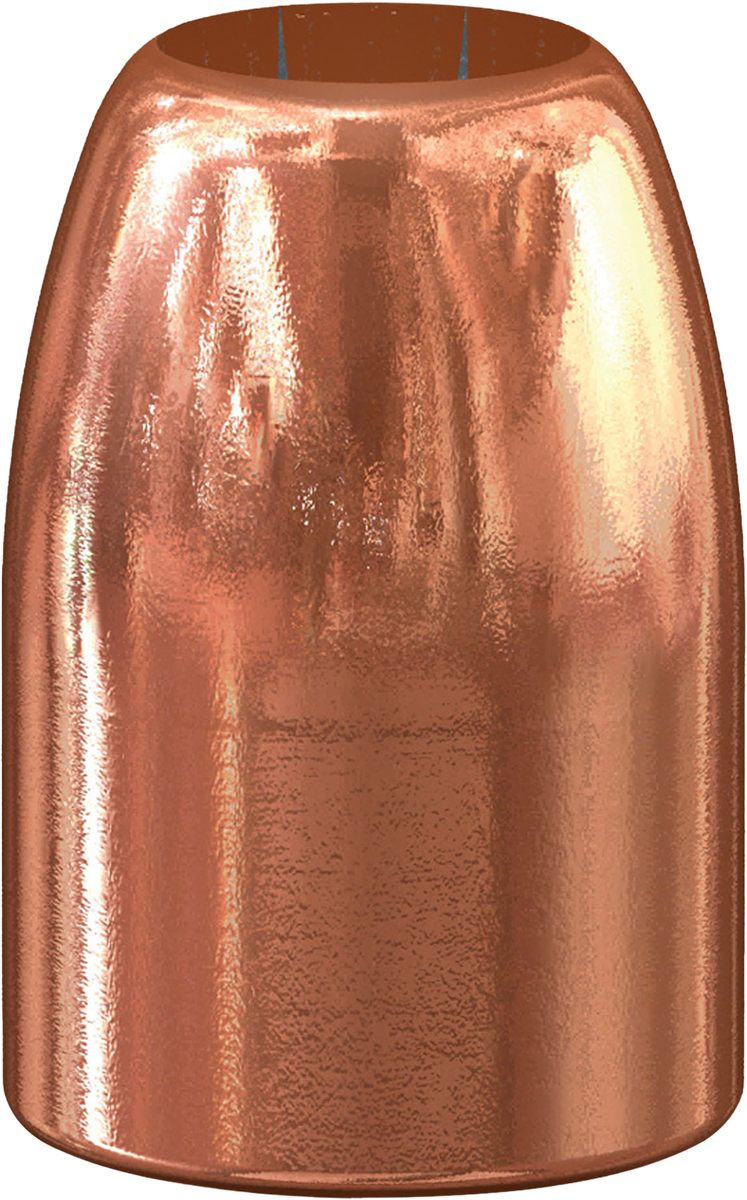 Speer Ammunition Gold Dot Personal Protection Handgun Bullets .45 Auto .451