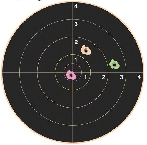 Champion Traps and Targets Bushnell, VisiShot 8in Bulls Eye (10 Pack), Blac