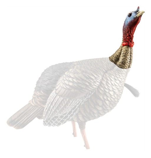 Avian X AVXAVX8105 HDR Jake Turkey Decoy Multi Color view 2