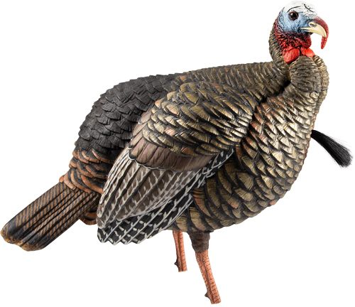 Avian X AVXAVX8105 HDR Jake Turkey Decoy Multi Color view 3