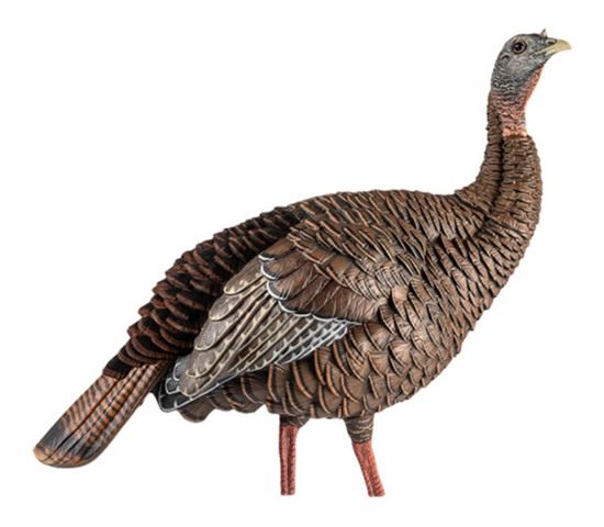 Avian X AVXAVX8106 HDR Hen Turkey Species Multi Color view 2