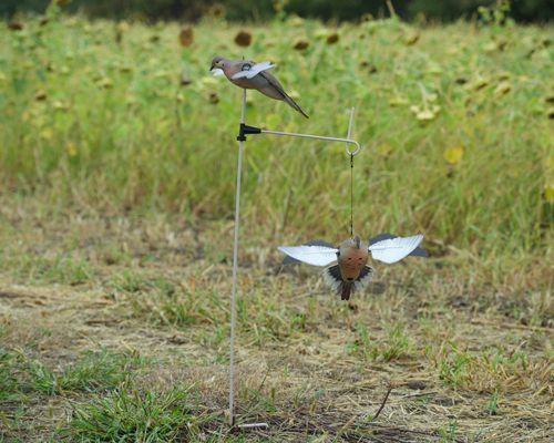 Avian X PowerFlight Spinning Wing Dove Life-Size Motion Decoy - Durable Wea view 7