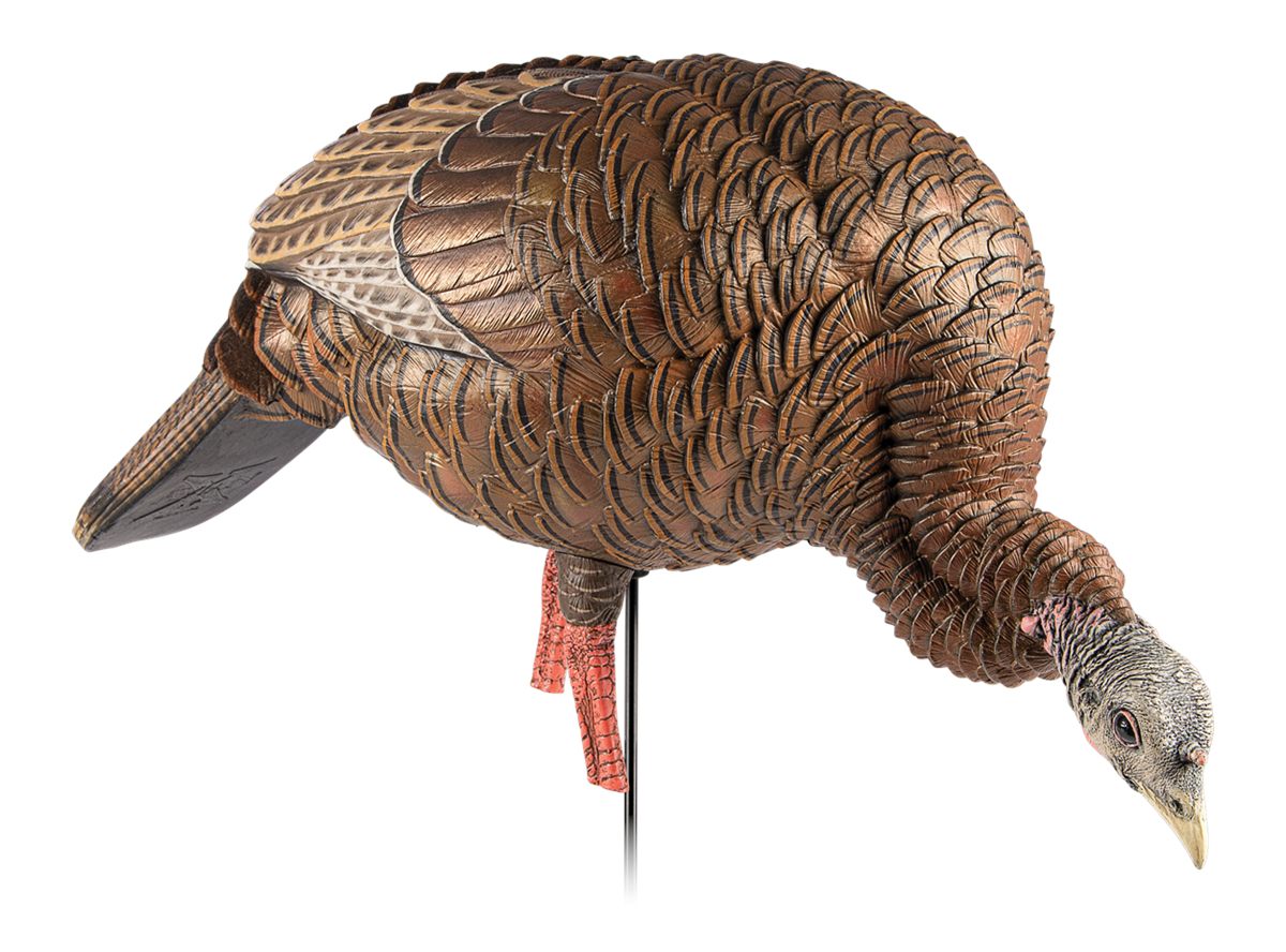 Avian X AVXAVX8107 HDR Feeder Hen Turkey Species Multi-Color