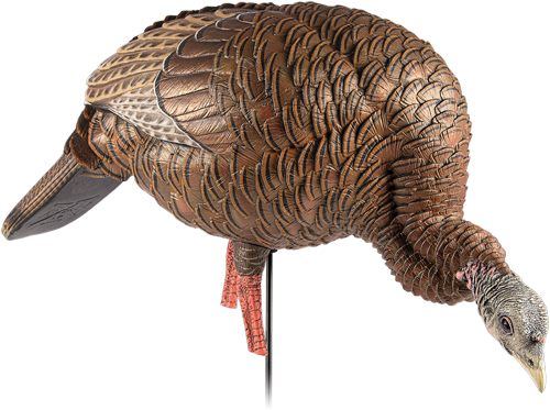 Avian X AVXAVX8107 HDR Feeder Hen Turkey Species Multi-Color view 3