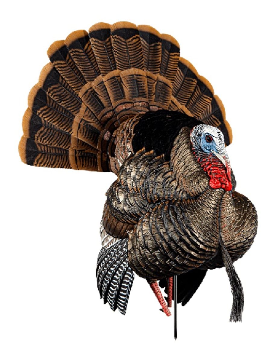 Avian X HDR Strutter Turkey Decoy view 2
