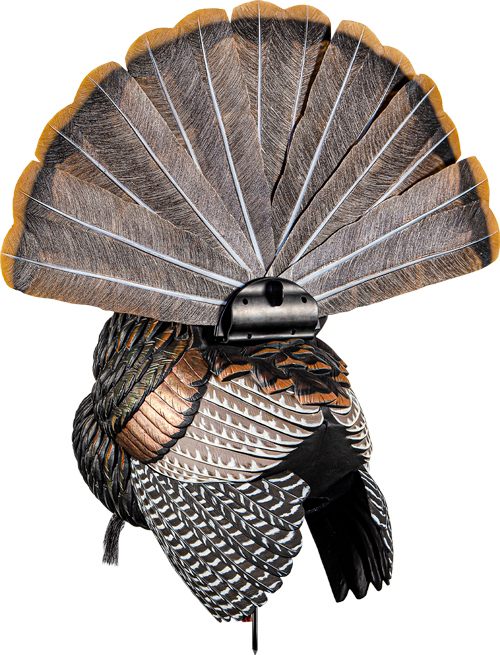 Avian X HDR Strutter Turkey Decoy view 3