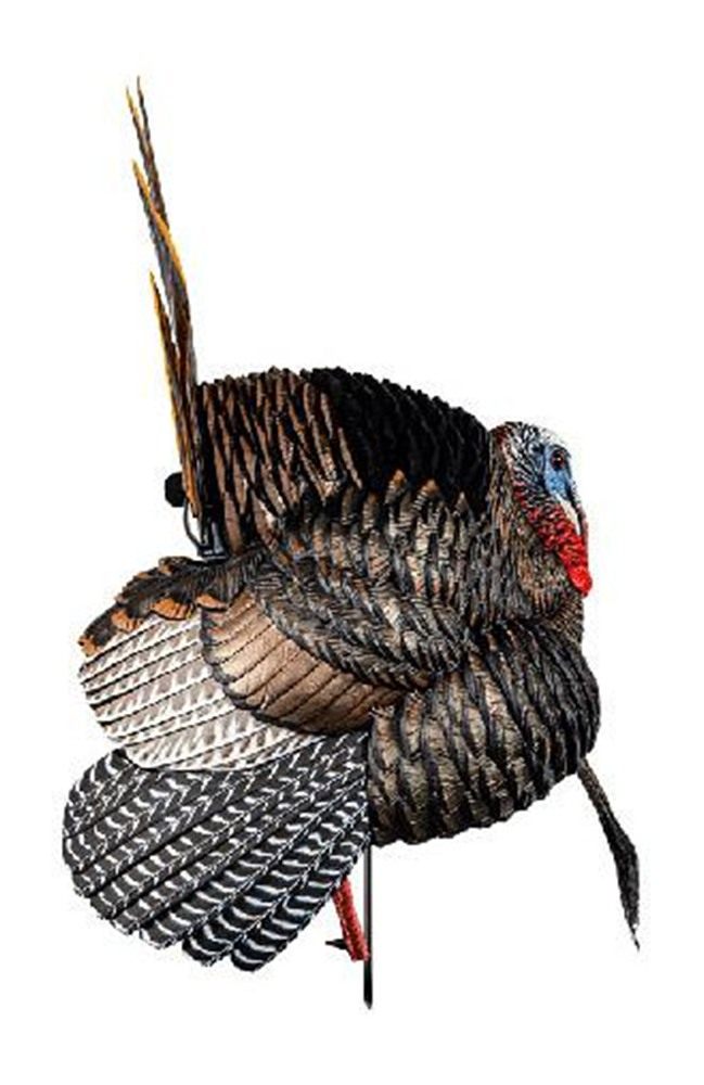 Avian X HDR Strutter Turkey Decoy view 5