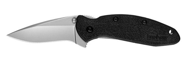 Kershaw 1620 Scallion 2.40in Folding Flipper Plain Bead Blasted 420HC SS Bl view 2