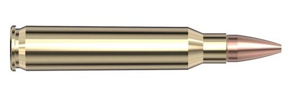 Hornady 812544 Superformance 5.56x45mmNATO 55gr Copper Alloy eXpanding 20 P view 5