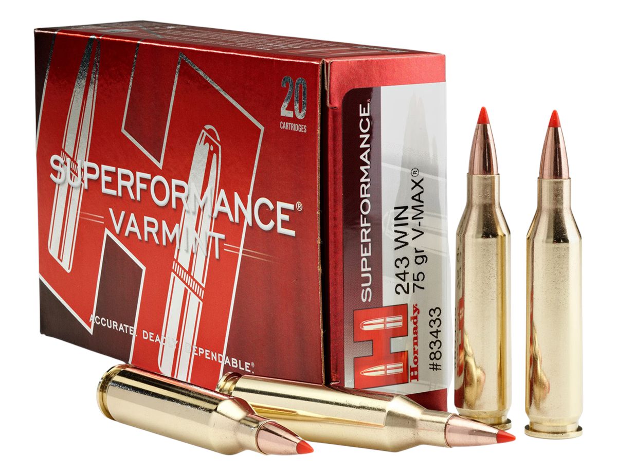 Hornady Superformance Varmint V-Max Rifle Ammunition .243 Wssm 75gr PT 3800 view 2