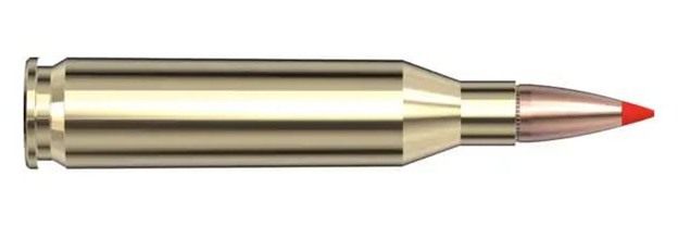 Hornady American Whitetail Tipped SST Rifle Ammunition 243 Win 95gr PT 2960 view 7