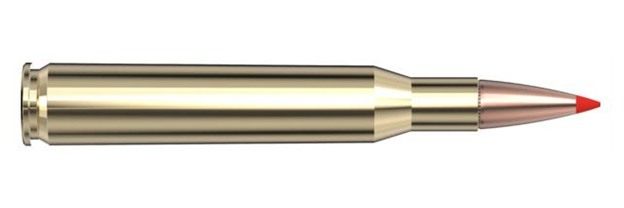 Hornady American Whitetail Tipped SST Rifle Ammunition 270 Win 130gr PT 305 view 7
