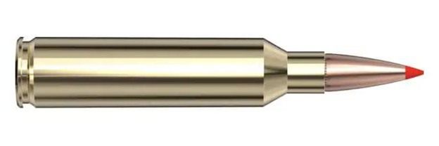 Hornady American Whitetail Tipped SST Rifle Ammunition 308 Win 150gr PT 281 view 6