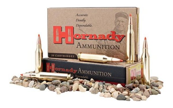 Hornady 81197 American Whitetail 350 Legend 165gr 20 Per Box/10 Case view 2