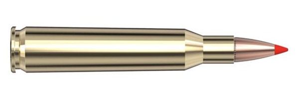 Hornady Superformance Rifle Ammunition .257 Roberts +P 117 gr SST 2945 fps view 3