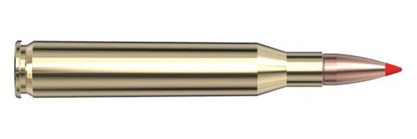 Hornady 81453 Superformance 25-06 Rem 117gr Shock Tip 20 Per Box/10 Case view 3