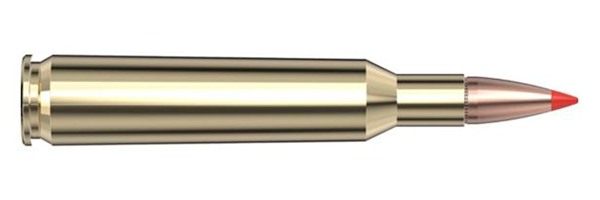 Hornady Superformance Rifle Ammunition 6mm Rem 95 gr SST 3235 fps - 20/box view 4