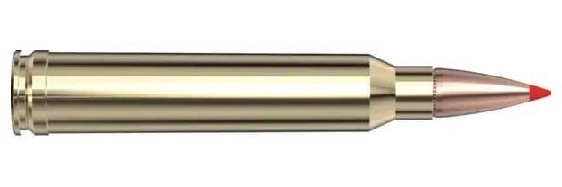 Hornady American Whitetail Tipped SST Rifle Ammunition 300 Win Mag 165gr PT view 5
