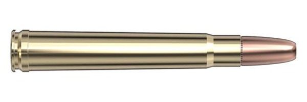 Hornady Dangerous Game Series Rifle Ammunition .375 H H 300 gr DGS 2530 fps view 4