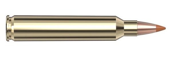 Hornady 83209 Superformance Varmint 204 Ruger 24gr Non Traditional eXpandin view 6