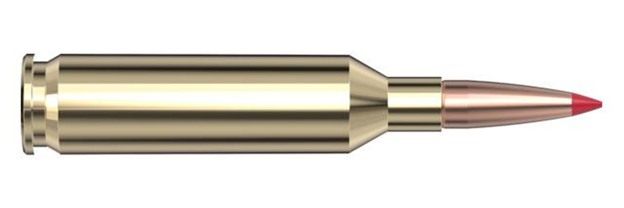Hornady Superformance CX Rifle Ammunition 22 Creedmoor 65gr PT 3650 fps 20/ view 4